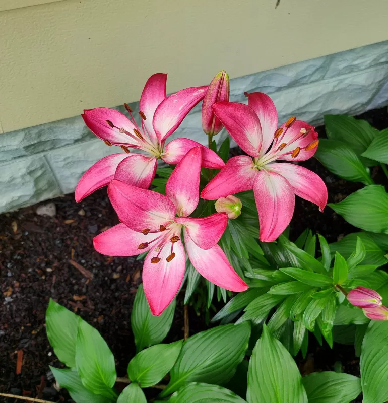 October Newsletter